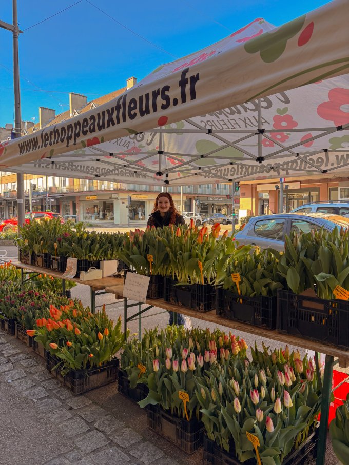 La fraîcheur du matin, la beauté des tulipes photo 4
